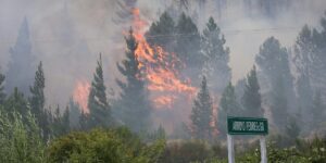 se-agrava-el-incendio-forestal-en-chubut:-casas-quemadas,-200-evacuados-y-un-fuera-de-control,-que-ya-cruzo-la-ruta-40