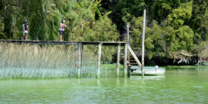 ola-de-calor-en-el-amba:-alerta-por-la-presencia-de-cianobacterias-en-las-playas-del-sur-del-rio-de-la-plata