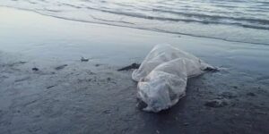 encontraron-el-cuerpo-de-un-pescador-en-la-playa-de-berisso