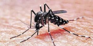 dengue:-prediccion-de-brotes-a-partir-de-ia