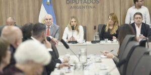 reunion-plenaria-para-debatir-la-moratoria-previsional