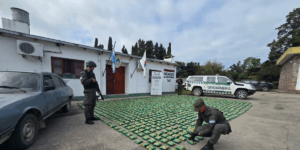decomisaron-mas-de-una-tonelada-de-hojas-de-coca-en-la-puna-jujena