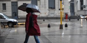 domingo-gris-en-parana