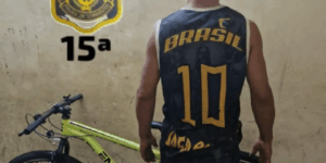 detuvieron-al-ladron-que-agredio-a-nino-para-robarle-una-bicicleta