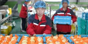 china-anuncio-que-comenzo-a-exportar-peras-a-la-argentina