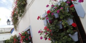 ya-hay-ganadores-del-concurso-de-rejas-y-balcones-2025-en-cordoba:-estos-son-los-premiados