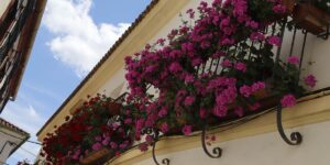 los-ganadores-del-concurso-de-rejas-y-balcones-2025,-en-imagenes