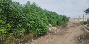 san-jose-de-palpala-sigue-padeciendo-incontables-problemas