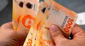 por-decreto-milei-definio-el-salario-minimo-vital-y-movil
