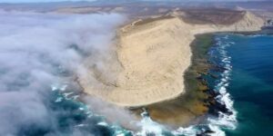 amplian-la-superficie-del-area-natural-protegida-punta-marques-para-cuidar-a-su-valiosa-fauna
